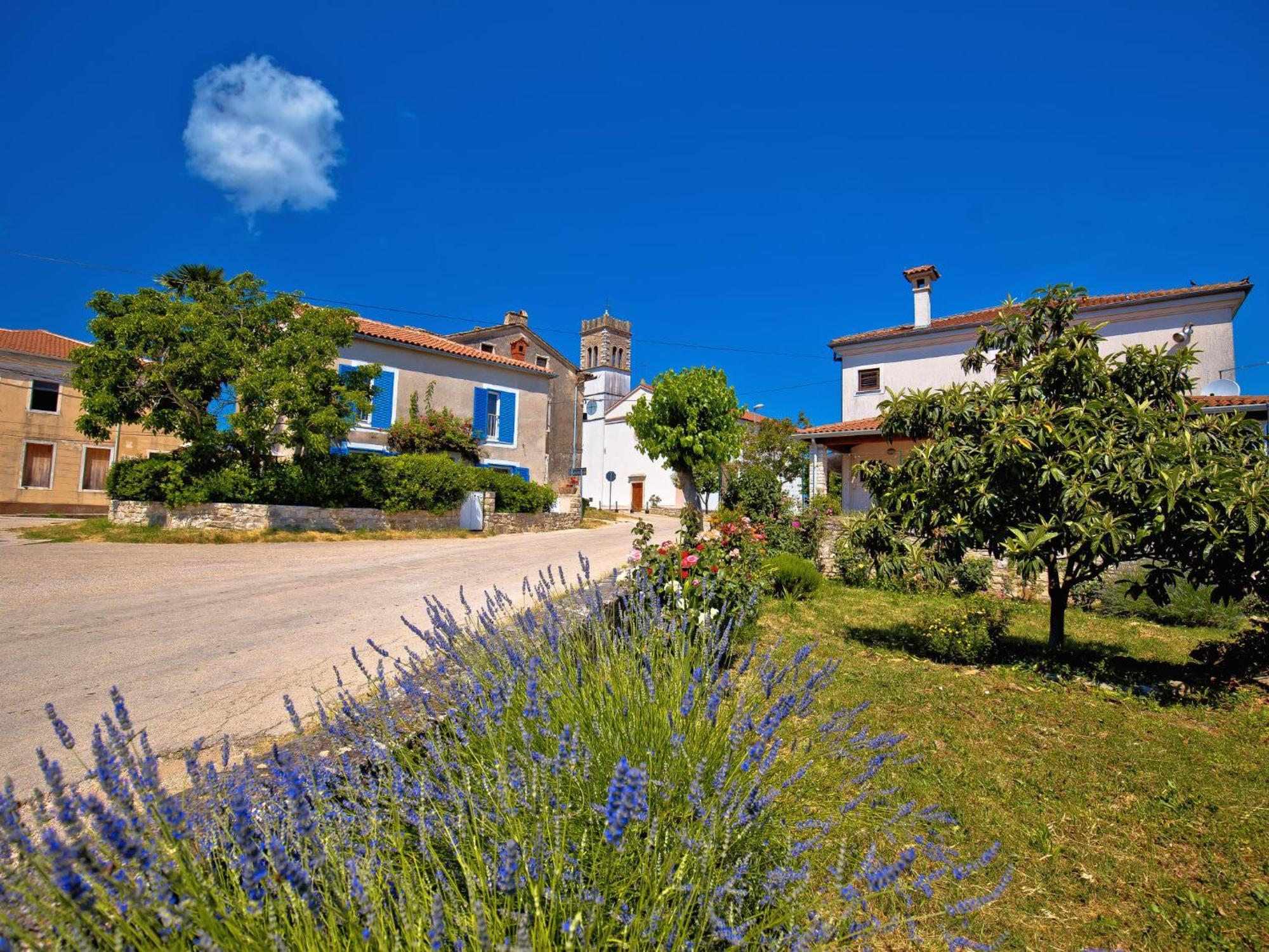 Holiday Home Villa Lucky By Interhome Brtonigla Exterior photo
